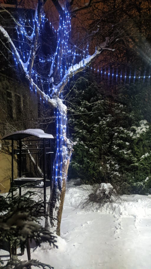 ���� � ������ ������� ��������� � ������ ��� ������